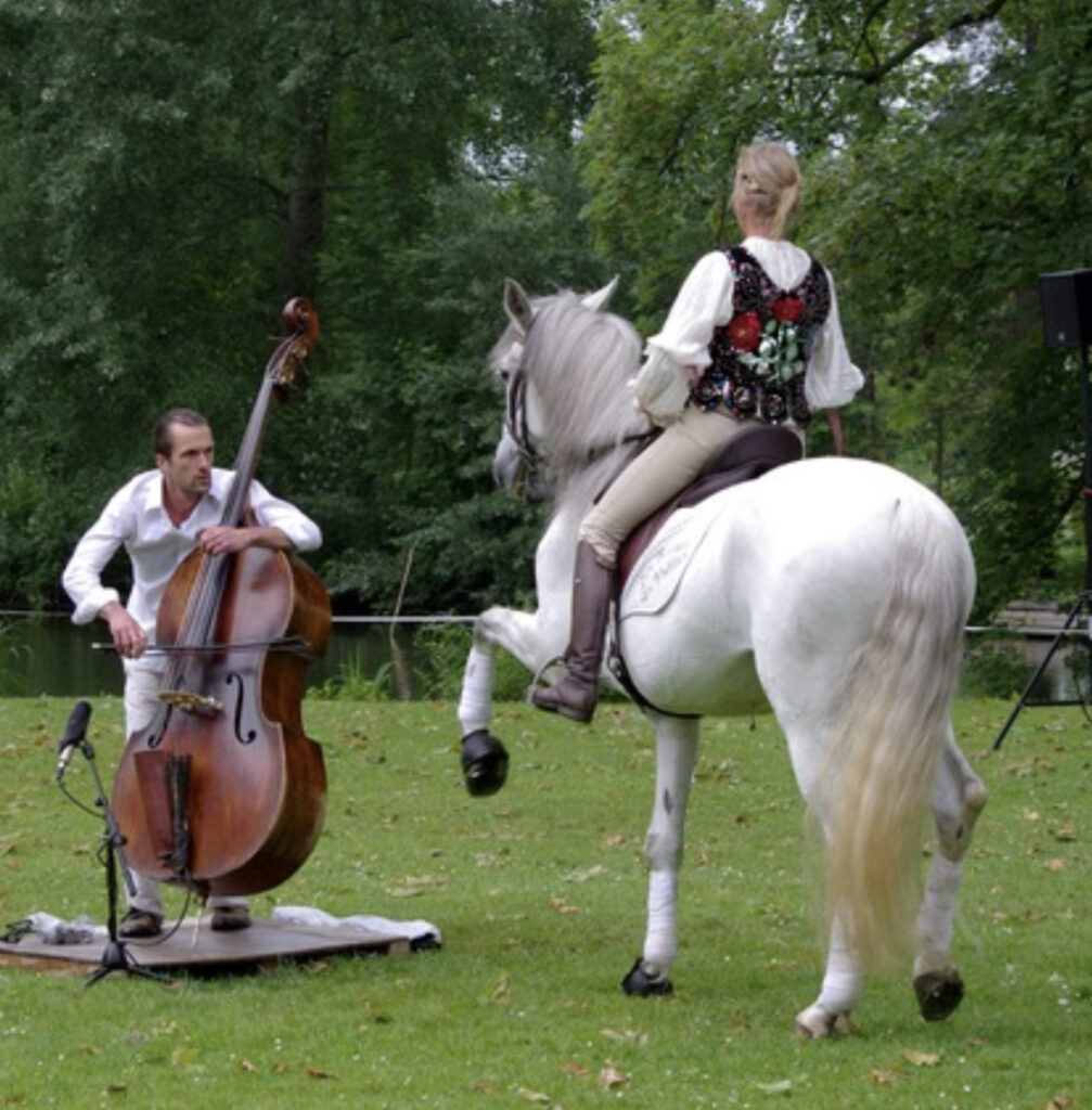 Un première rencontre originale pour Marc Vieillefon : un cheval et un musicien !
